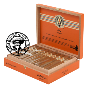 Avo Xo - Notturno Box of 20