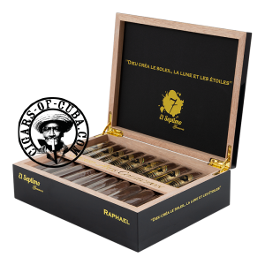 El Septimo Raphael Sacred Art Collection Box of 20