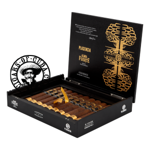 Plasencia Alma Fuerte - Robustus I Box of 10