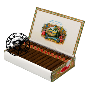 Saint Luis Rey Regios Box of 25