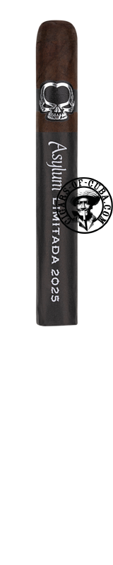 ASYLUM 13 Limitada 2025