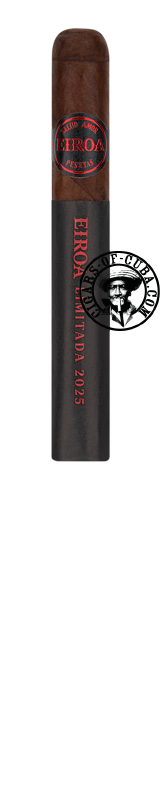 EIROA Limitada 2025