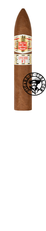Hoyo De Monterrey Epicure No.3
