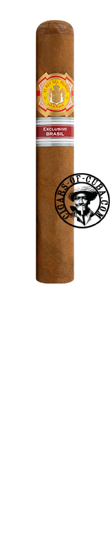 El Rey del Mundo Serie B N2 - 2019 - Brasil