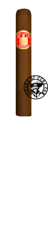 Saint Luis Rey Regios