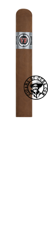 VegaFina Serie 2 - Robusto