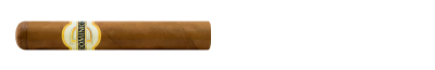 Dominico Robusto