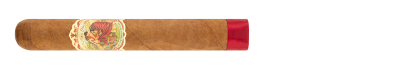 FLOR DE LAS ANTILLAS Toro Gordo