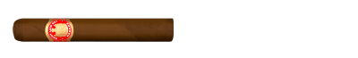 Saint Luis Rey Regios